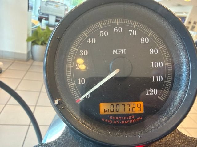 2005 HARLEY-DAVID XL883L Base