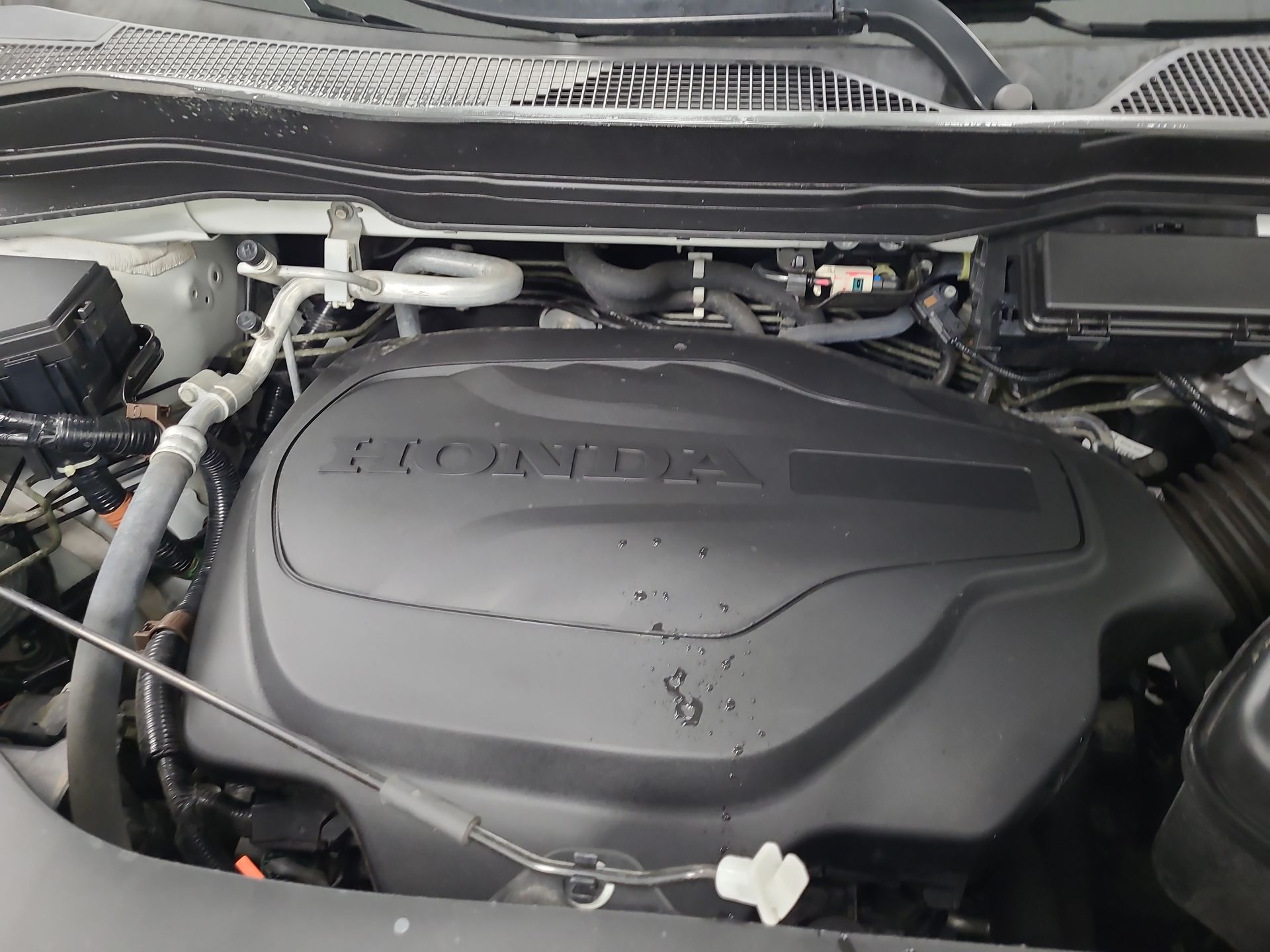 2022 Honda Passport Elite